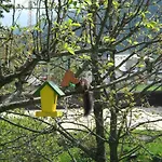 Haus-holzer