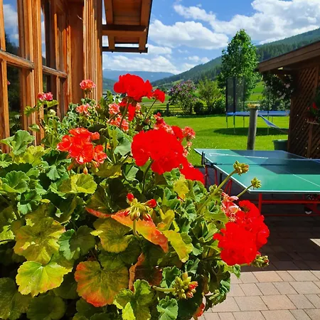 Apartment Haus-holzer Mauterndorf (Salzburg)