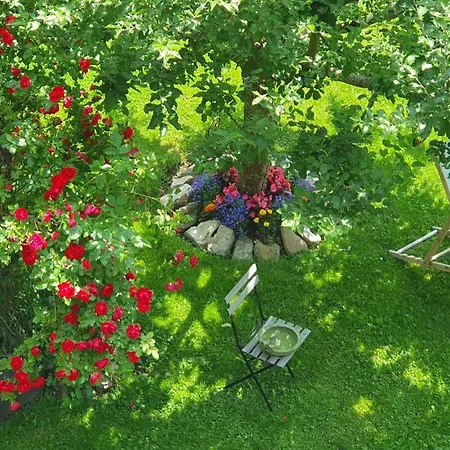 Apartman Haus-holzer *