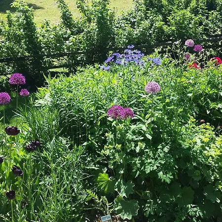 Haus-holzer * Mauterndorf