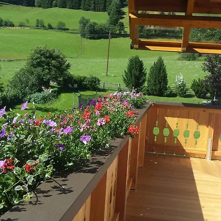 Haus-holzer * Mauterndorf