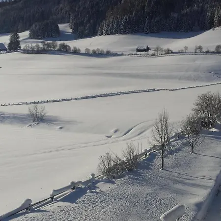 Lägenhet Haus-holzer Mauterndorf (Salzburg)