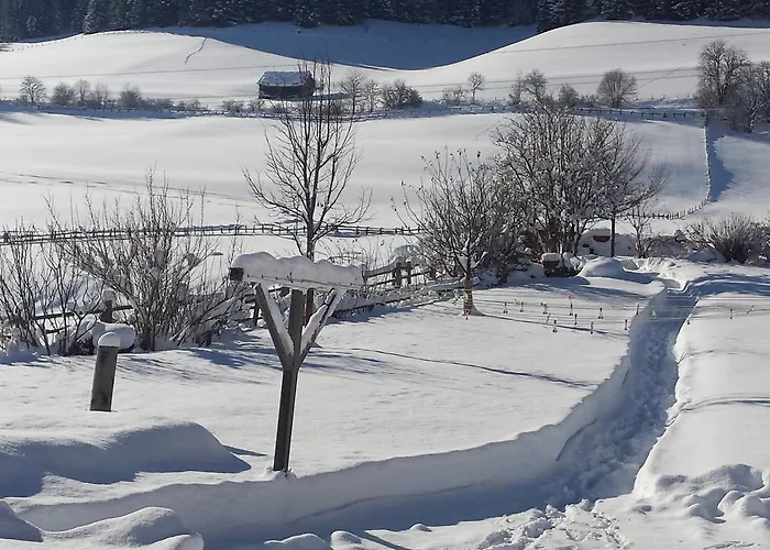 Haus-holzer 公寓 *